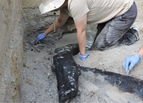 A photo of an person on their hands and knees digging into the ground.