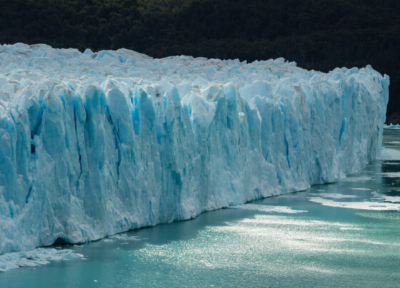 A photo of the Perito Moreno Glacier in Argentina.