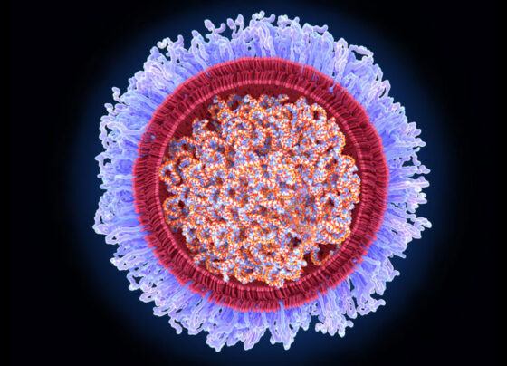 illustration of a messenger RNA molecule covered in lipid bubbles