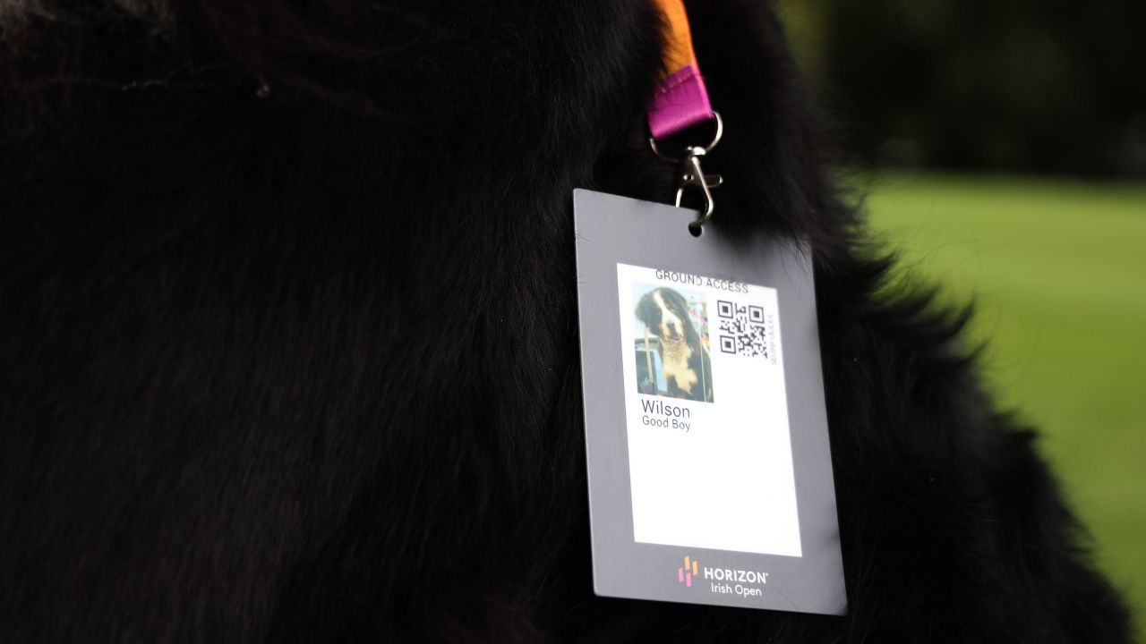 STRAFFAN, IRELAND - SEPTEMBER 06: A detail view of the ground access pass of "Good Boy" Wilson, Dog owned by Padraig Harrington of Ireland (not pictured) during the Pro-Am prior to the Horizon Irish Open at The K Club on September 06, 2023 in Straffan, Ireland. (Photo by Oisin Keniry/Getty Images)