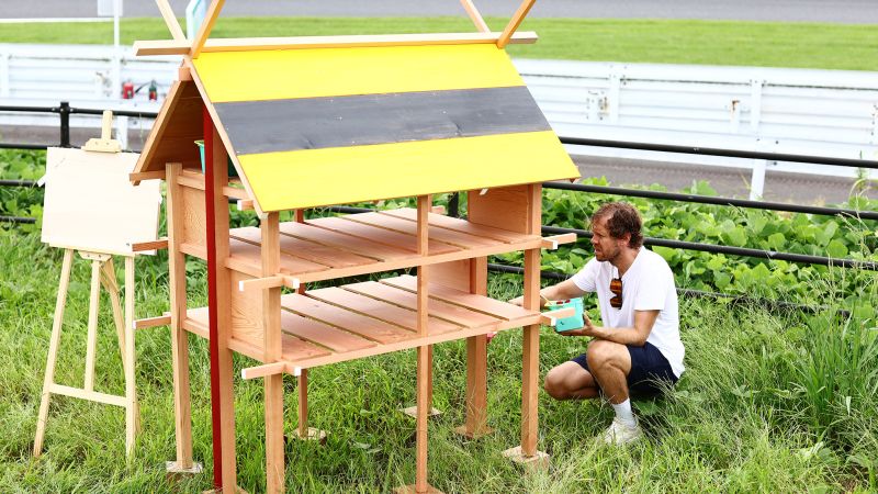 Sebastian Vettel creates buzz at Japanese Grand Prix as he sets up ‘insect hotels’