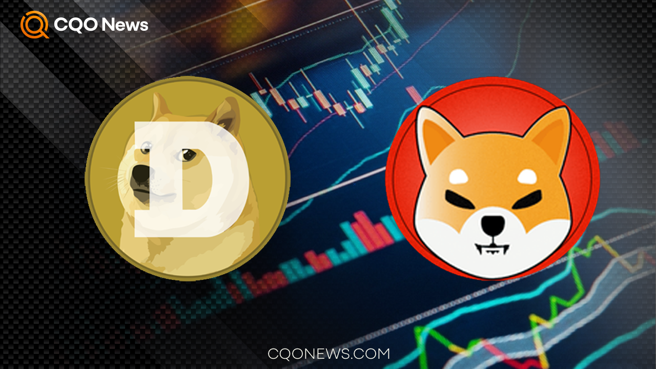 What will Happen to Dogecoin?