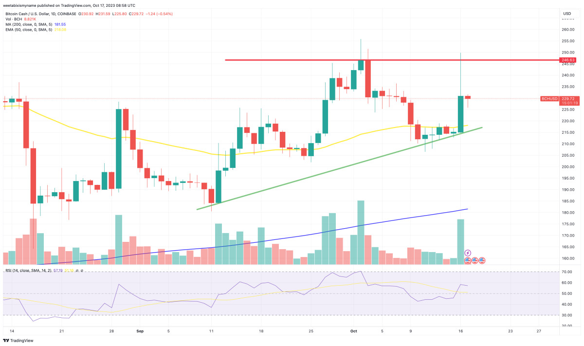 Bitcoin Cash Price Prediction as BCH Pumps Up 4.5% Suddenly – What’s Going On?