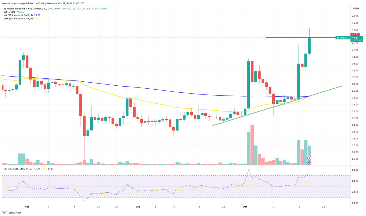 Is It Too Late to Buy Bitcoin SV? BSV Price Rockets Up 20% as New Telegram Crypto Casino Surpasses Huge Funding Milestone – Next 100x Project?