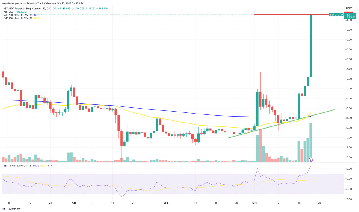 Bitcoin SV Price Prediction as BSV Price Skyrockets Up 30% Suddenly – Can it Overtake Bitcoin?