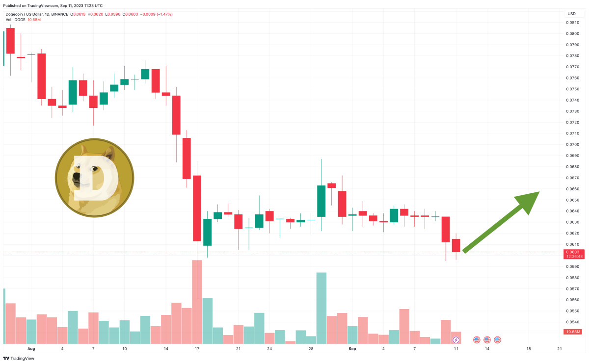 Dogecoin Price Prediction as DOGE Overtakes Cardano in Market Capitalization Rankings – Time to Buy?