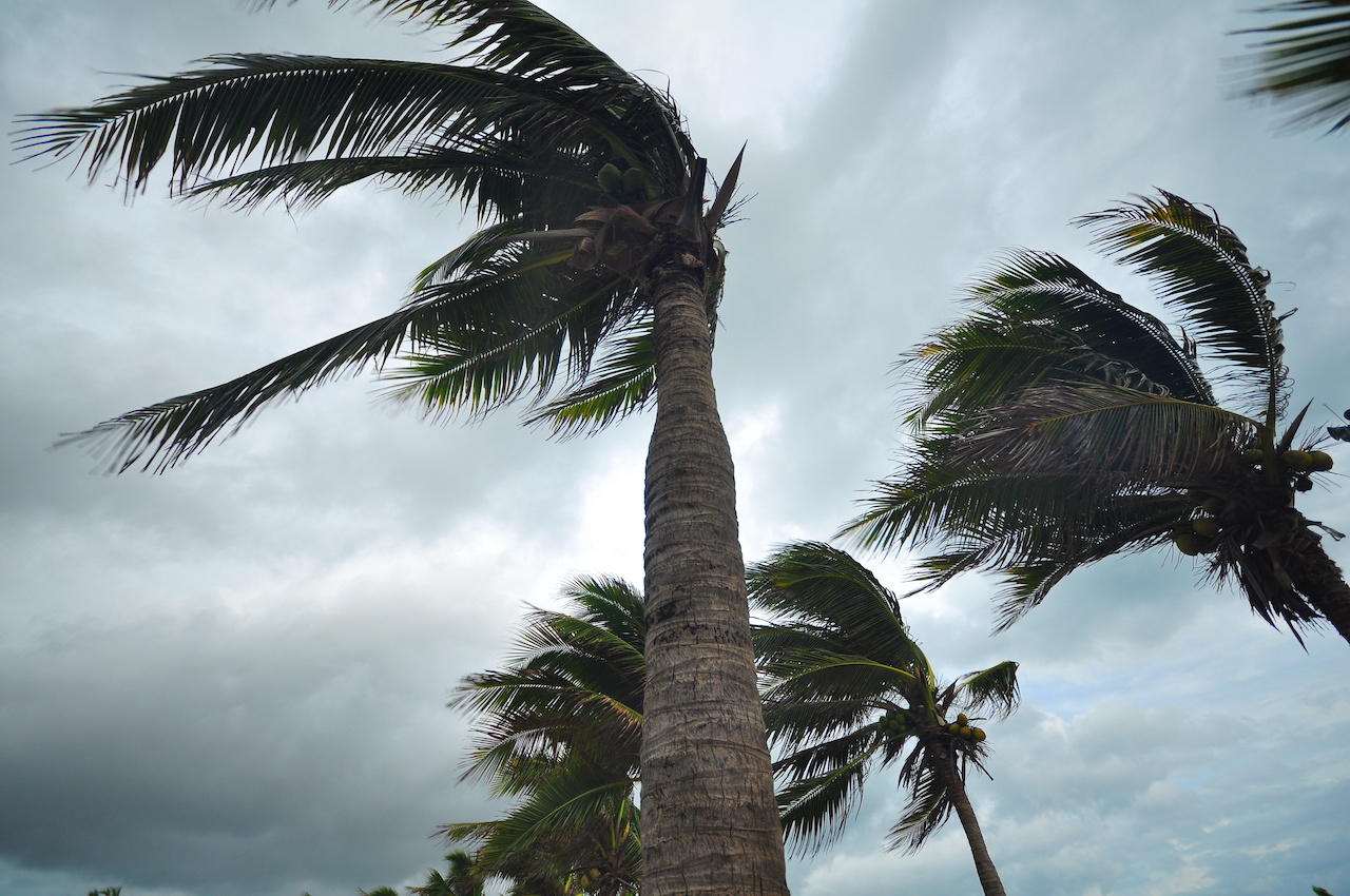 Ron DeSantis’ Crypto Campaign Donations Delayed by Hurricane