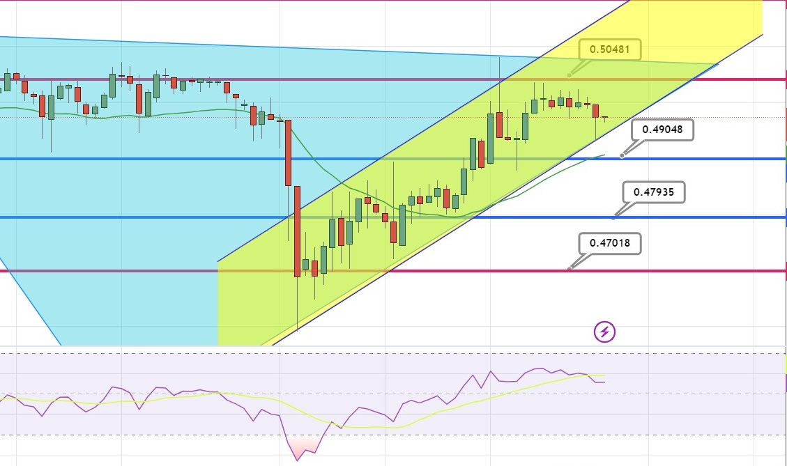 XRP Price Prediction as $700 Million Sends XRP Near $0.50 – Are Whales Buying?