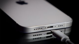 iPhone lightning port