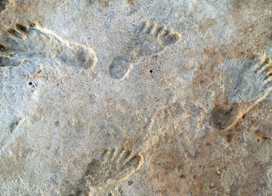 A photo of human footprints in White Sands National Park in New Mexico.