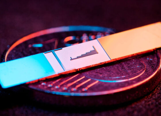 An image of a miniature accelerator clip sitting on top of a 1 euro cent coin.