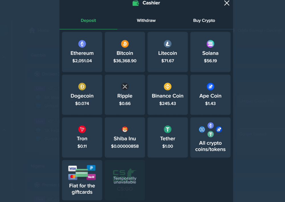 Duelbits Deposit Options