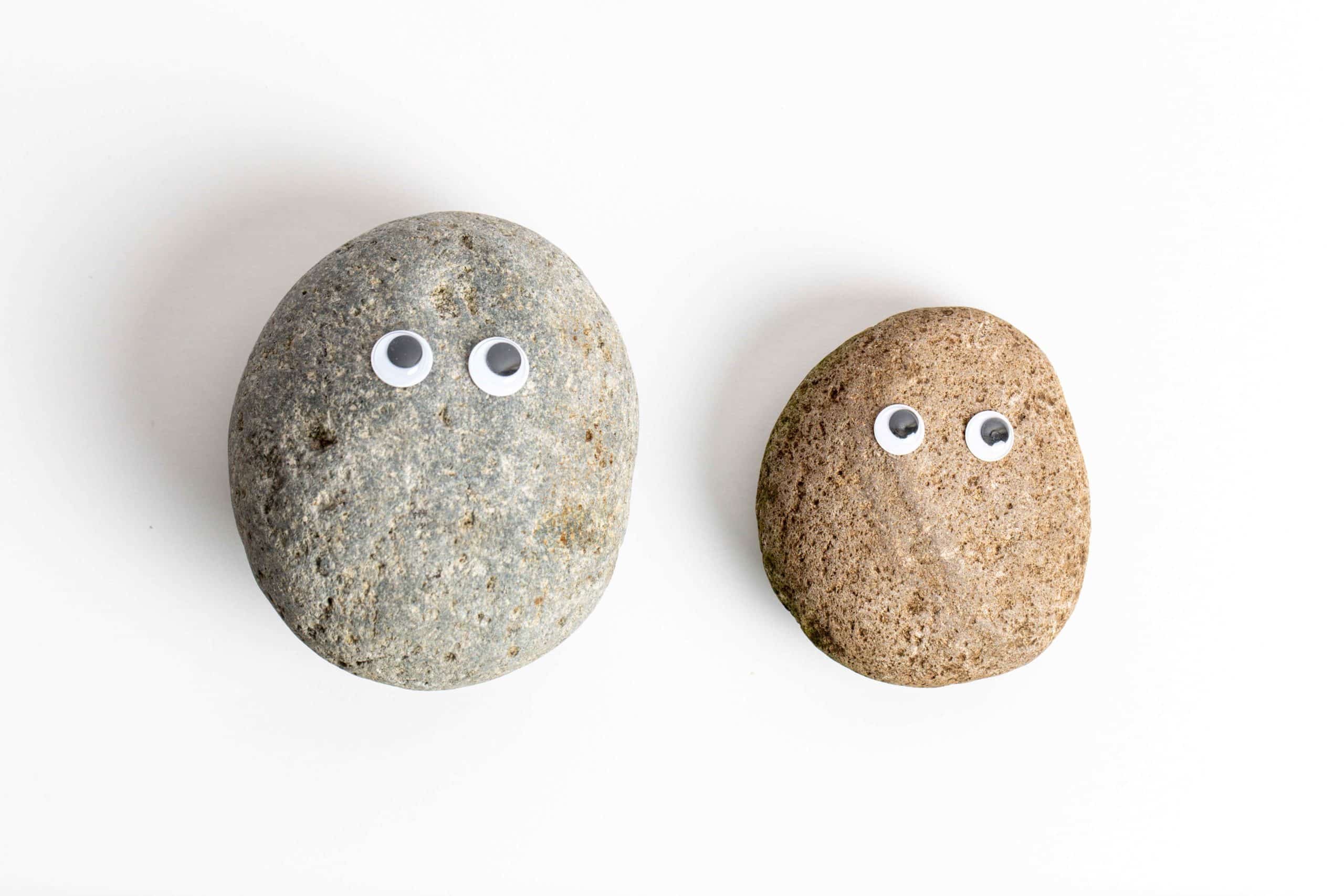 pet rock