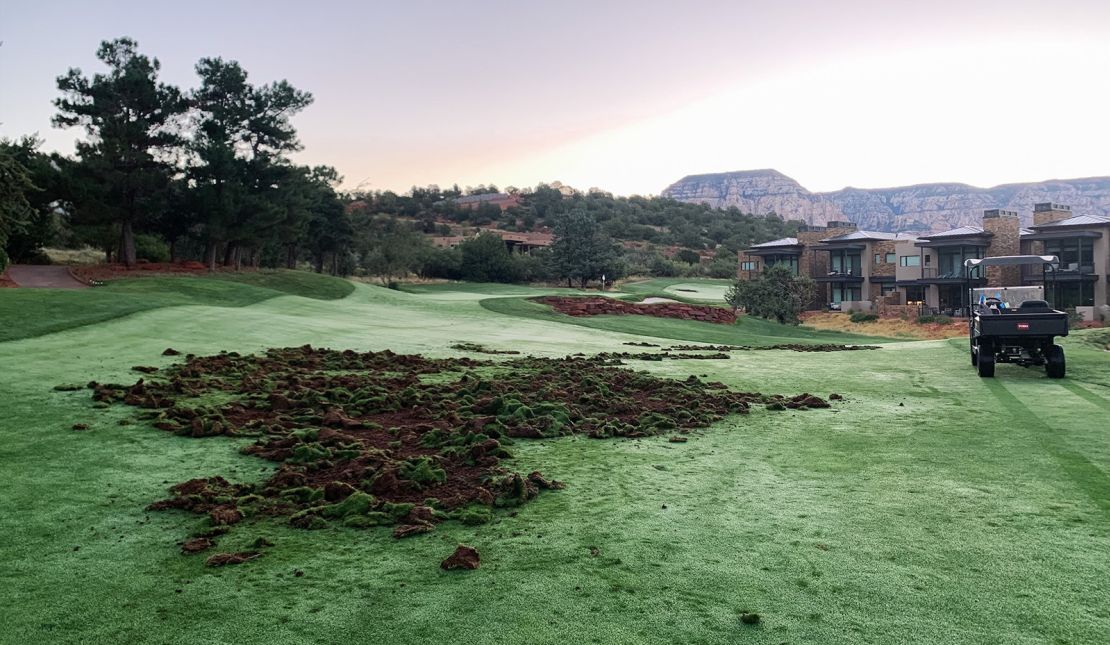 The javelina have proven to be expensive guests at Seven Canyons.