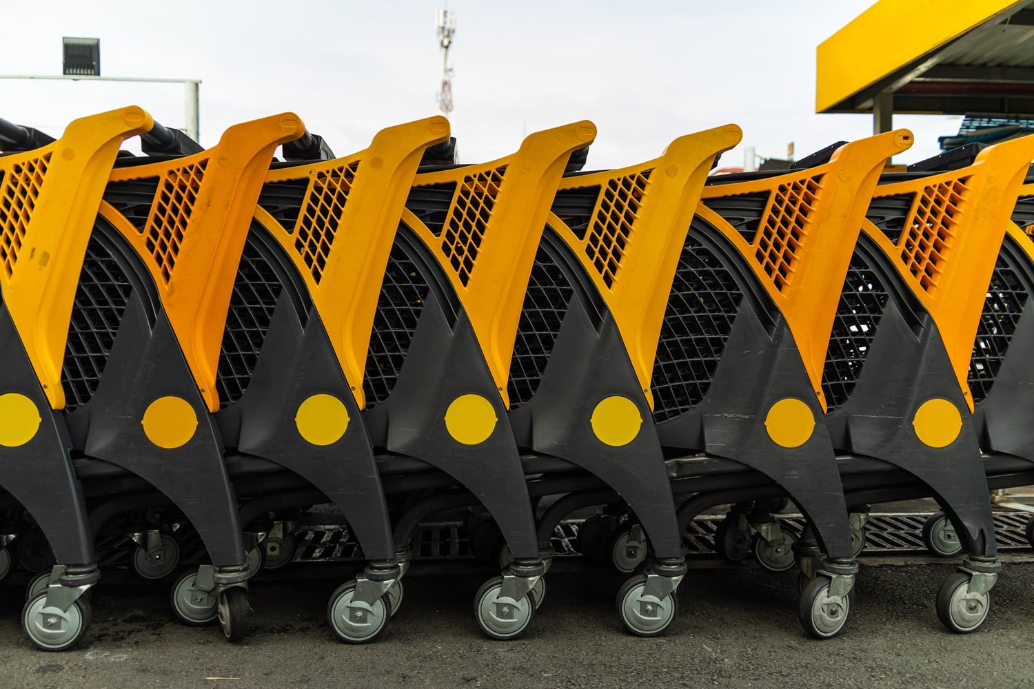 A row of yellow shopping carts at a supermarket entrance.