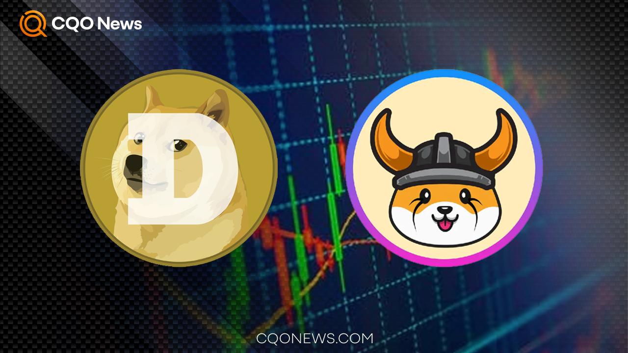 What Awaits Dog Coins? 🐕