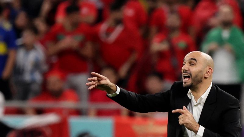 ‘Only a crazy coach like me would accept this job’: After World Cup success, Morocco’s manager Walid Regragui looks ahead to AFCON