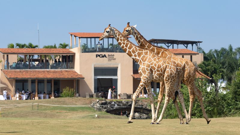 Giraffes interrupt play before Singapore teenager Shannon Tan makes history at Kenya Ladies Open