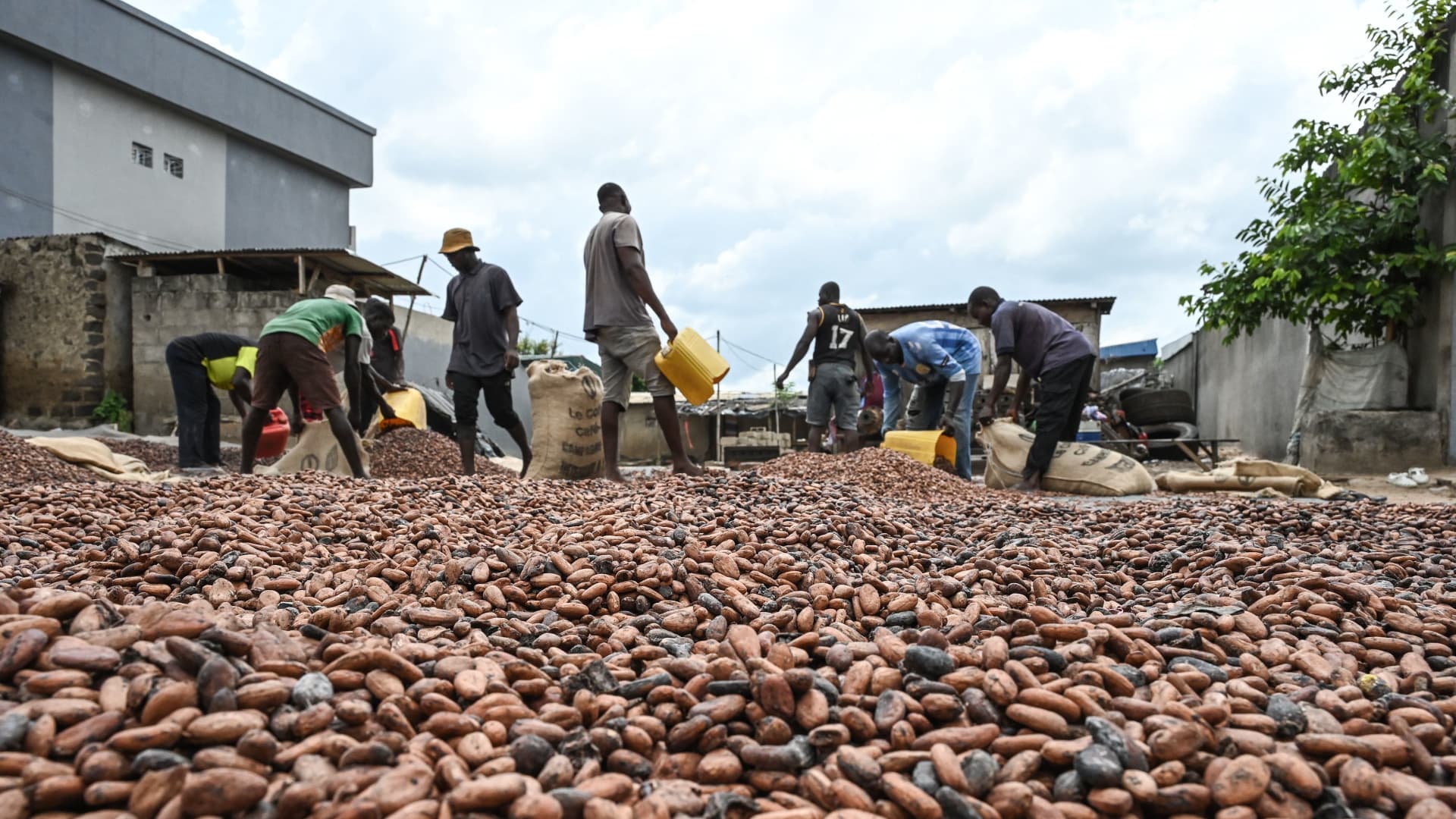 Cocoa prices hit $10,000 per metric ton for the first time ever