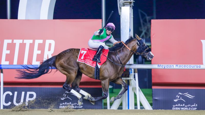 How elite horses travel to one of the world’s biggest racing events