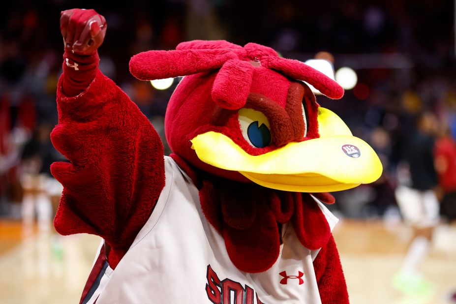 Cocky the South Carolina Gamecocks mascot cheers before the game.