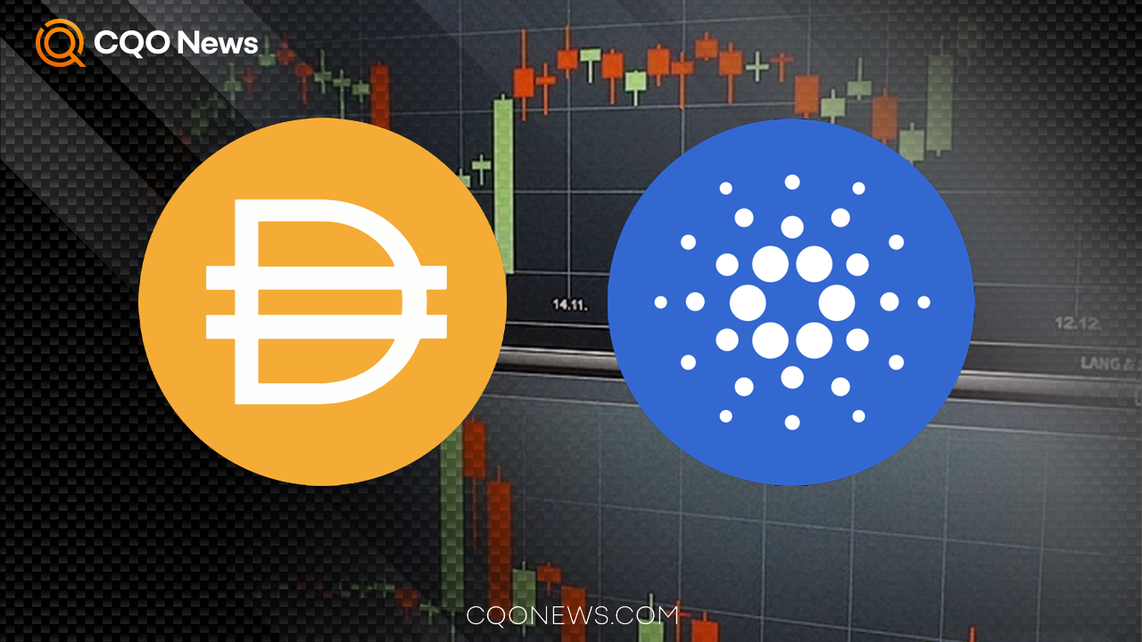 What to Expect from Cardano? 📈