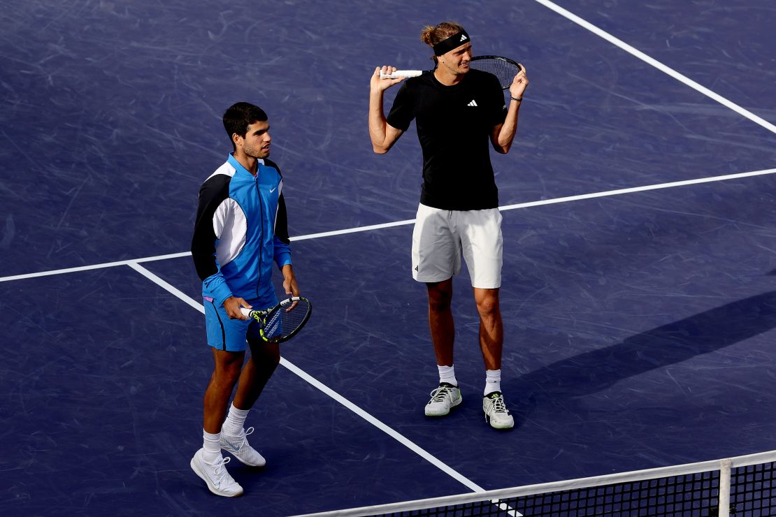 Alexander Zverev and Carlos Alcaraz watch as bees are removed from the stadium.