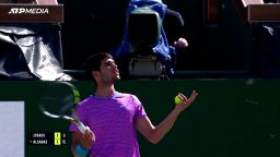 bees invade tennis match 2