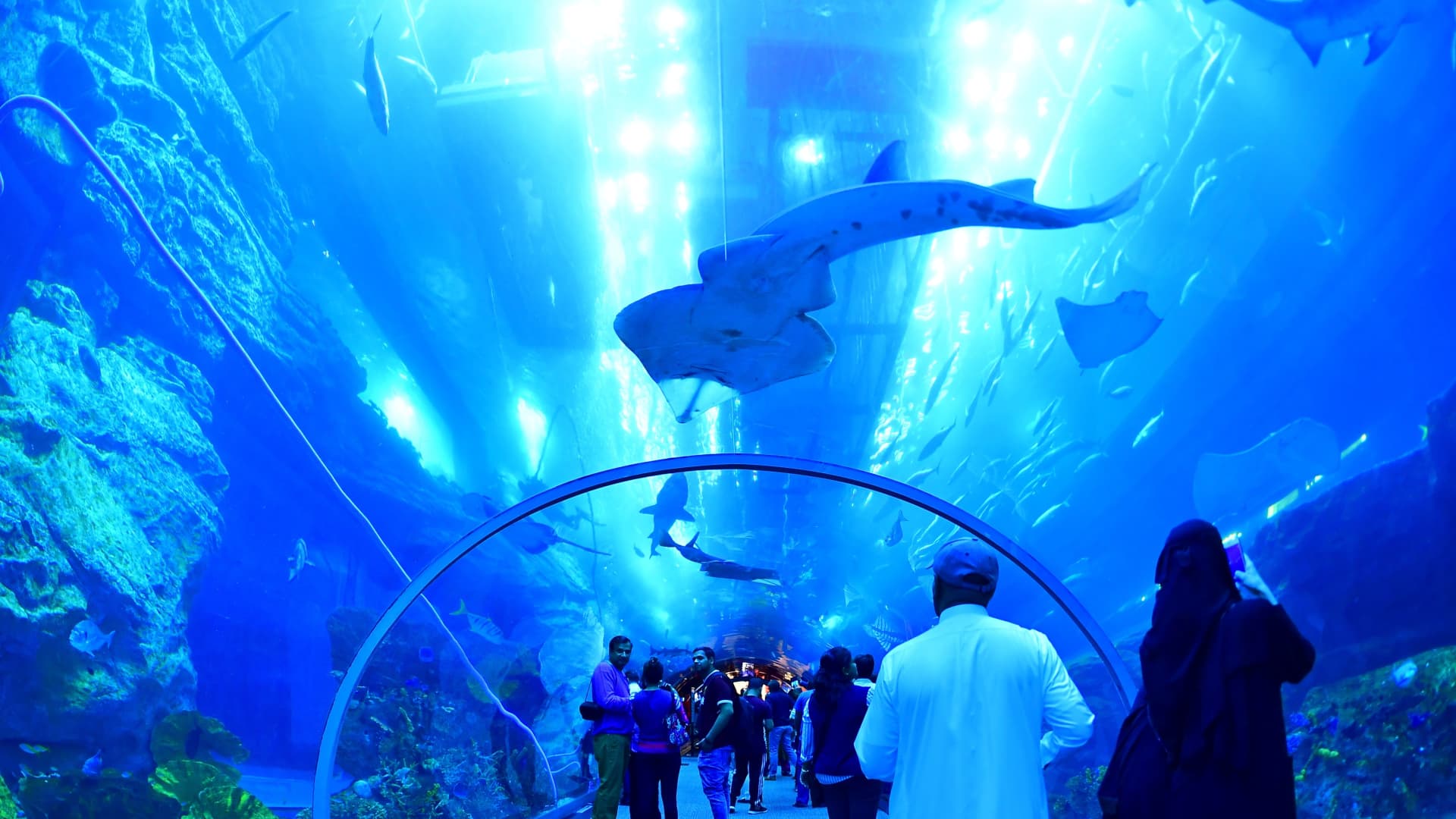 Dubai Mall, one of the world’s largest, is getting even bigger with a $400 million expansion