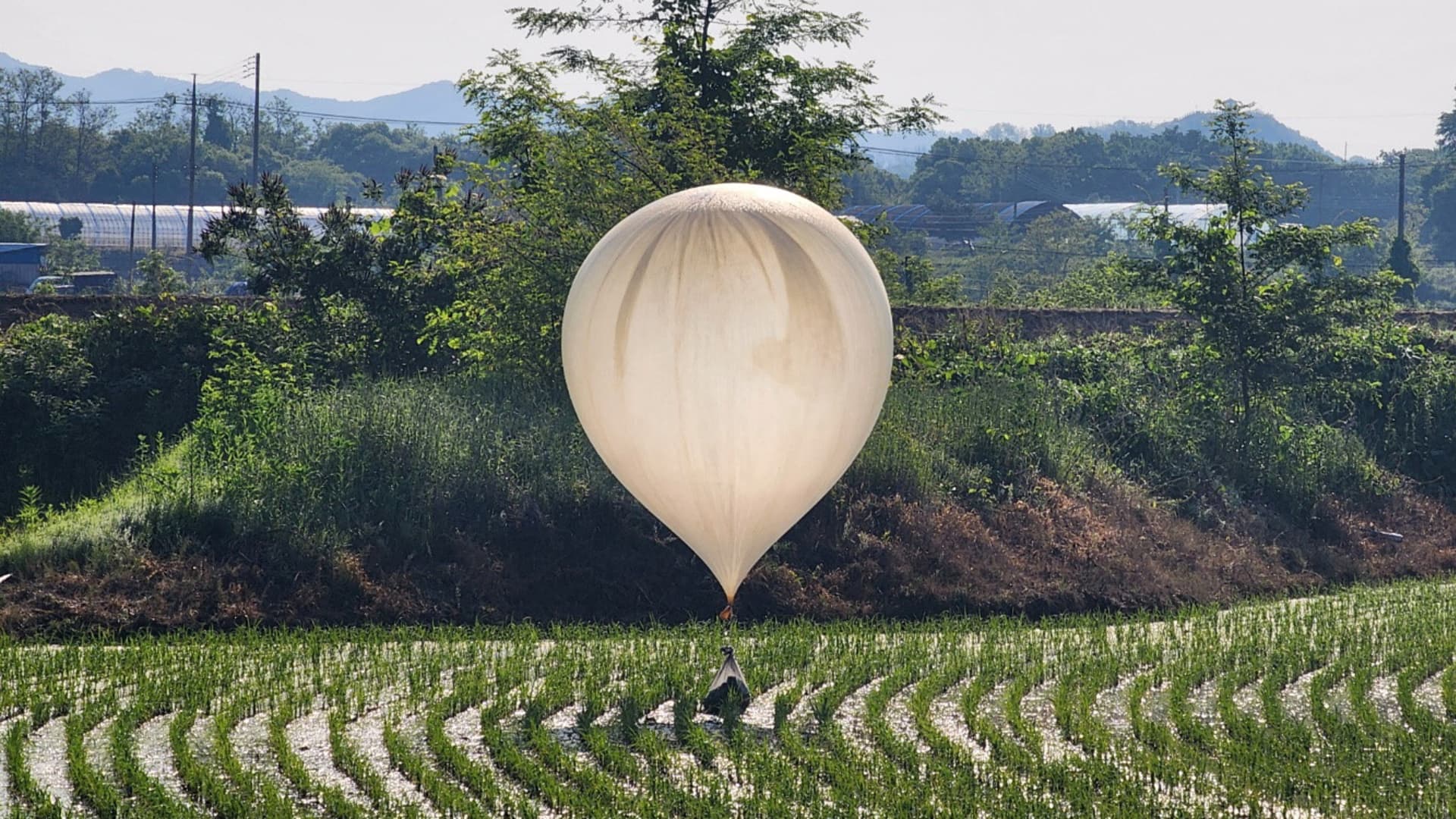 Cash for trash: How activists are responding to Pyongyang’s rubbish-filled balloons into South Korea