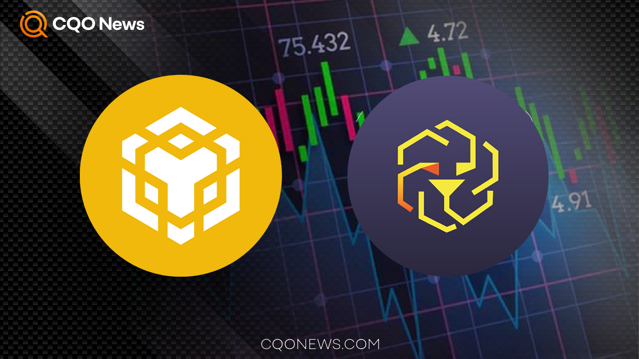 What Are Expectations For Binance Coin?