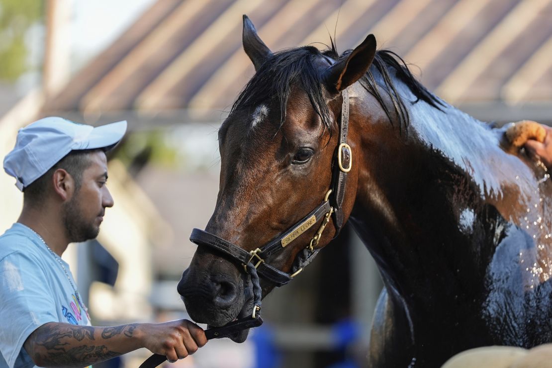 Sierra Leone was the pre-race favorite ahead of this year's Belmont Stakes.