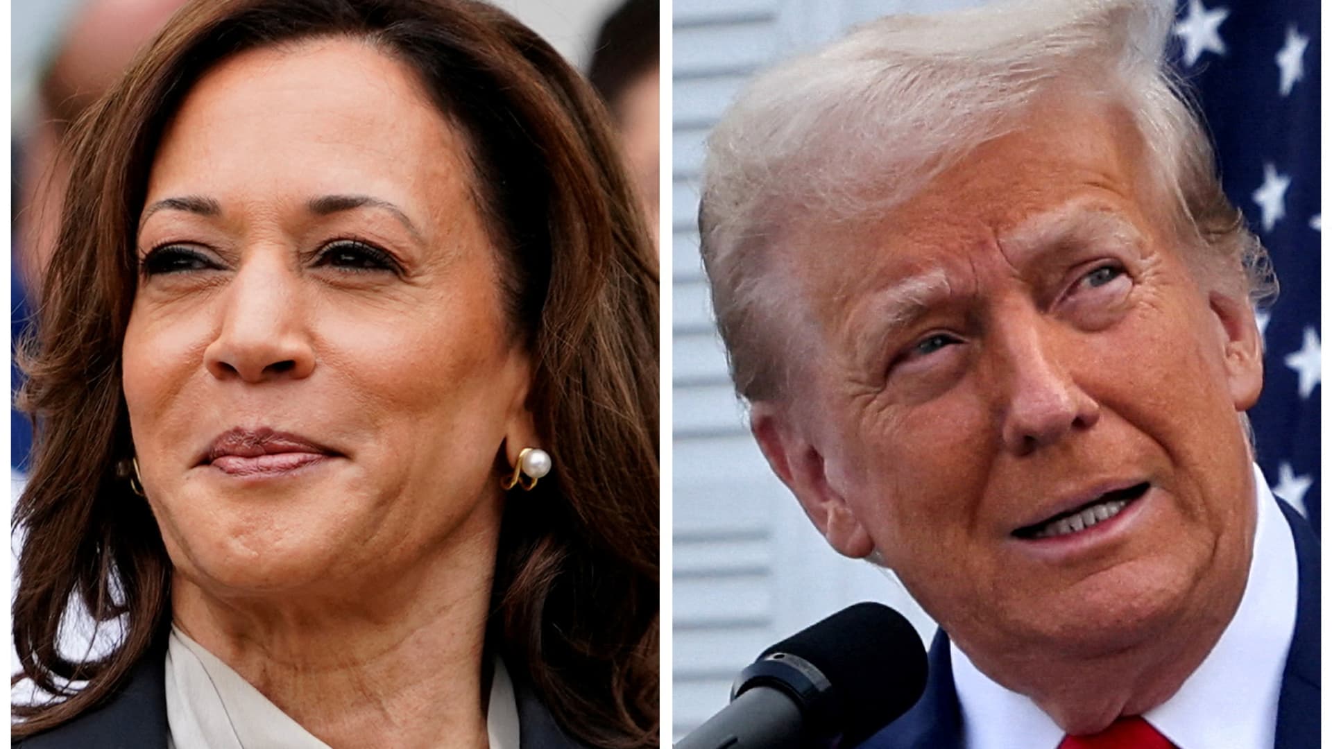 Harris will beat Trump, says election prediction legend Allan Lichtman