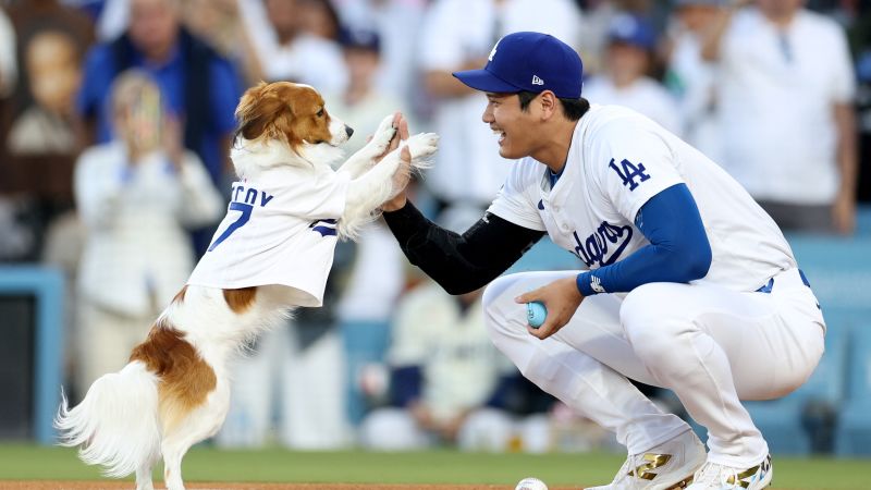 Shohei Ohtani and his dog, Decoy, star together at Dodger Stadium