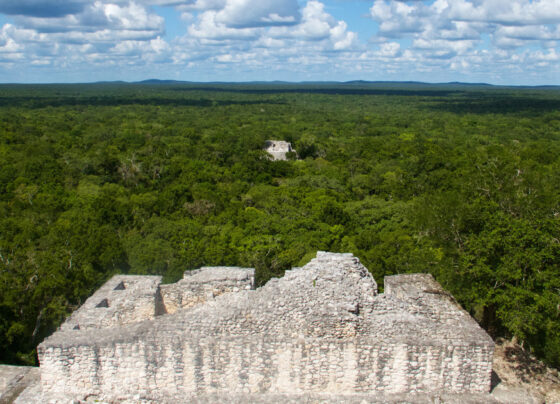 Ancient settlements in the Campeche region of Mexico.