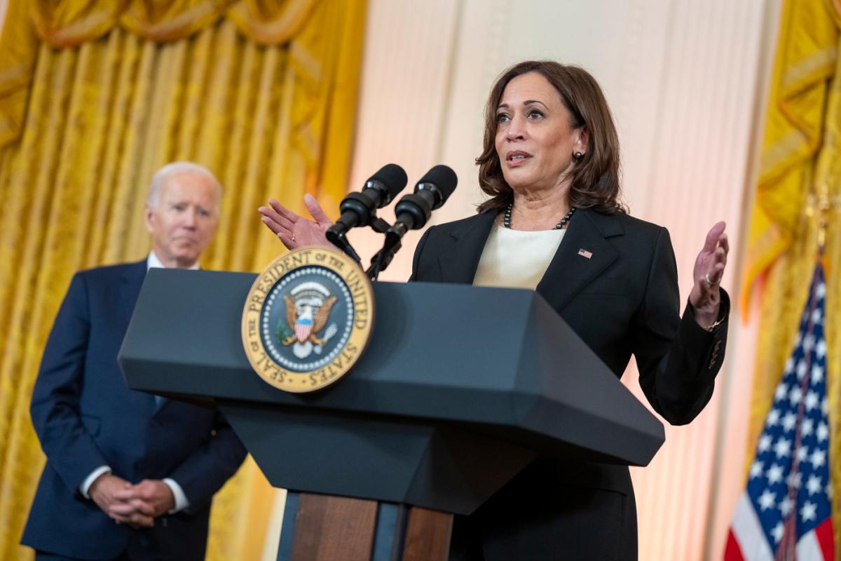 3 of Wall Street’s Most Influential Stocks Can Plunge if Kamala Harris Wins in November