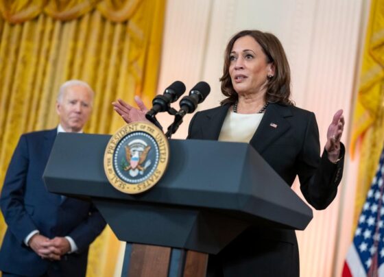 Vice President Kamala Harris delivering remarks in the East Room of the White House.