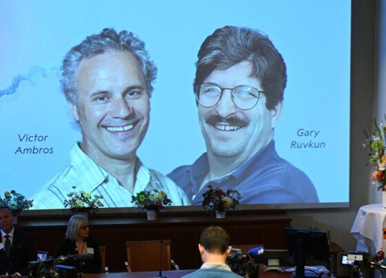 American duo wins Nobel Prize for medicine for pioneering gene discovery