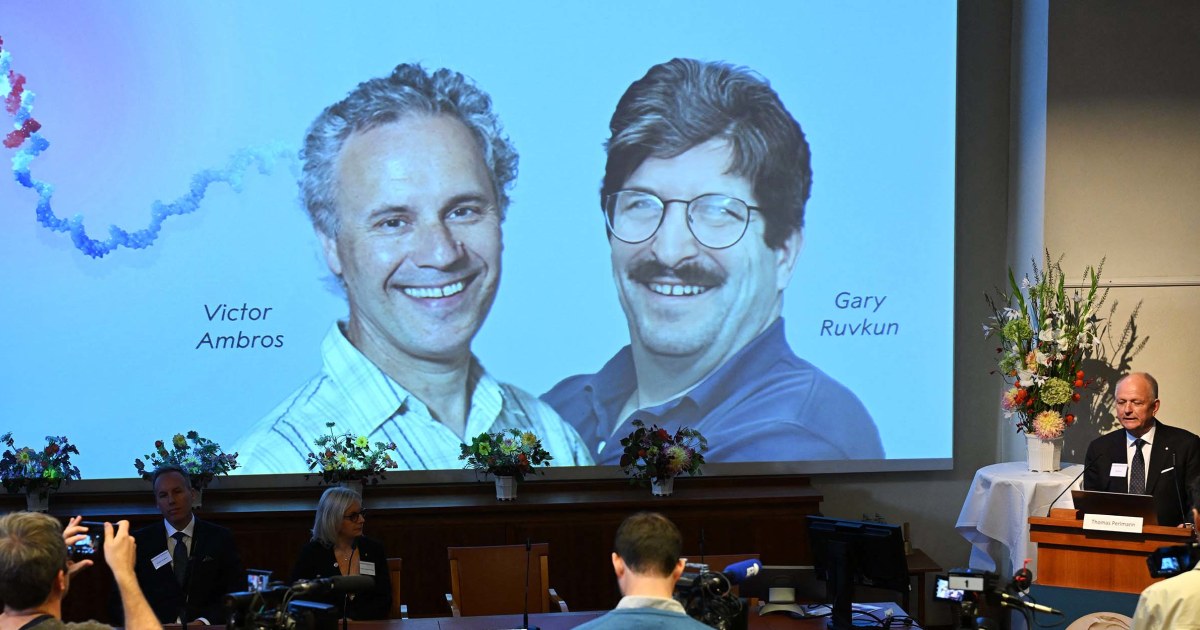 American duo wins Nobel Prize for medicine for pioneering gene discovery