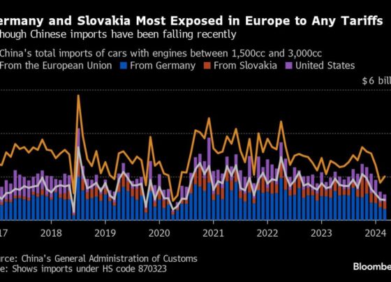 China Targets EU Cars, Brandy in Retaliation Over EV Tariffs