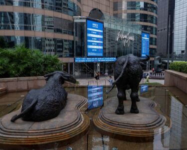 China stock frenzy gets a wet blanket