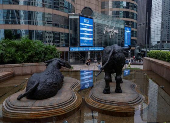 China stock frenzy gets a wet blanket