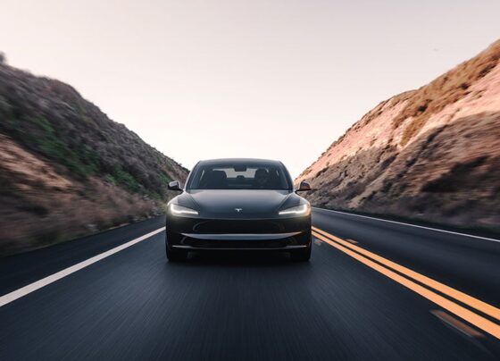 Dow Jones Futures: 5 Stocks In Buy Zones; Tesla Model Y Buzz Builds