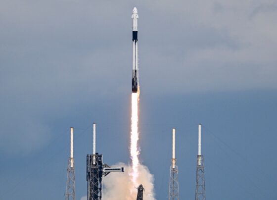 FAA grounds SpaceX's Falcon 9 rocket after a malfunction on its return to Earth