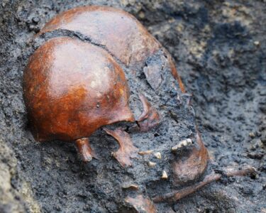 Fifty well-preserved Viking-era skeletons are discovered in Denmark