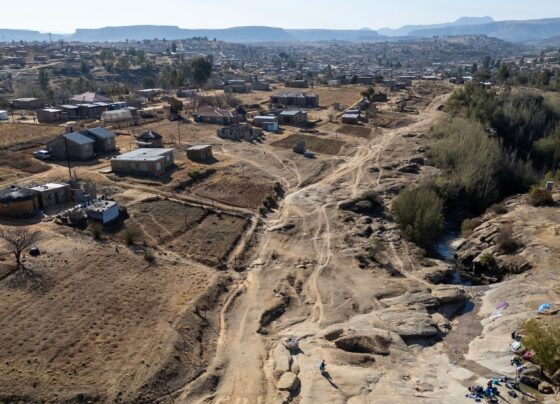 Half of all global food threatened by growing water crisis, report says