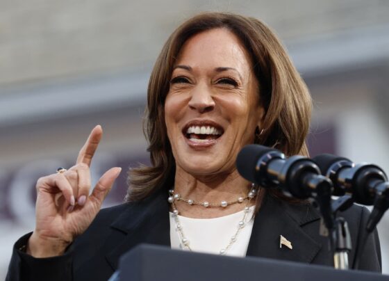 Kamala Harris sounds like a 'moderate Republican,' says Pollster Frank Luntz