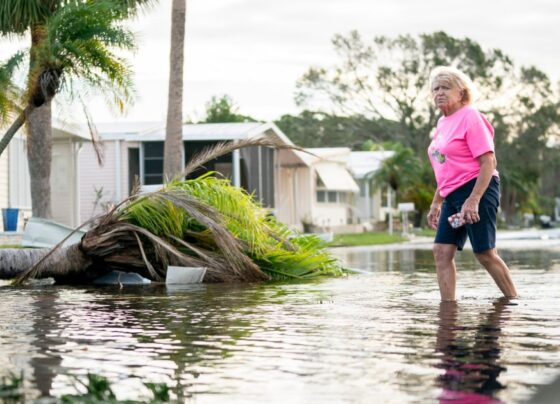 Hurricane Milton's downpour around Tampa Bay was a 1-in-1,000-year rain event