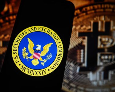 Man charged in SEC bitcoin price spike hack