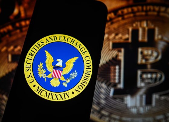 Man charged in SEC bitcoin price spike hack